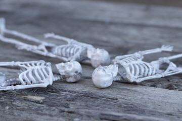 skeletons lie on a wooden background concept halloween.