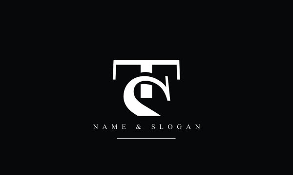 ST, TS, S, T abstract letters logo monogram