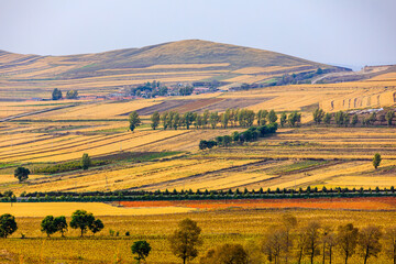 Fototapeta na wymiar Farmland and mountain scenery in autumn season.