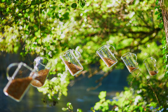 Several glass pitchers with half-filled with grains hanging from the tree