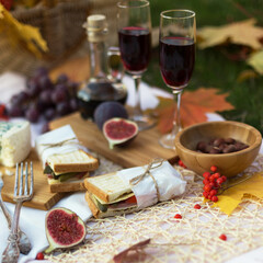 Close up of glasses of red wine with cheese, fruits and sandwiches on background of autumn garden with maple leaves. Evening picnic