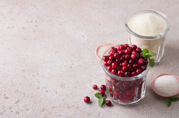 Ingredients for vegan cranberry pudding or porridge: semolina, fresh cranberries, vanilla sugar on light beige background, space