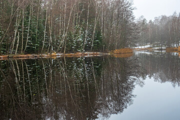 Gray December weather by a lake in the woods