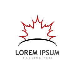 Maple leaf vector illustration