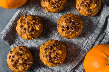 Healthy Homemade Chocolate Chip Pumpkin Muffins