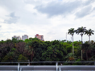 Silhueta do parque no Centro de São Paulo