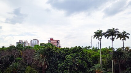 Fototapeta na wymiar Silhueta do parque no Centro de São Paulo