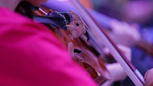 Closeup of a violin and hand with a bow. Symphony Orchestra. Violinists' performing. Classical music