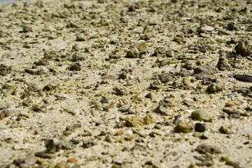 Close up the many small stones on the beach.