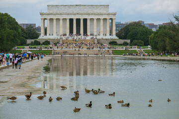 Lincoln Memorial landmark shrine hall is a presidential memorial site built in Washington, D.C. at Reflecting Pool with picturesque tree nature landscape and ducks