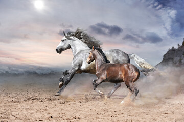 A white horse with a brown foal is galloping rapidly against the backdrop of rocky mountains 