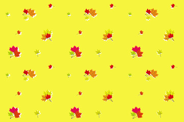 Seamless autumn vector background from colored maple leaves on yellow. Pattern from natural materials. Design element
