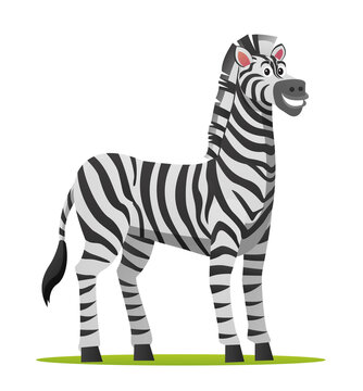 Zebra cartoon illustration isolated on white background
