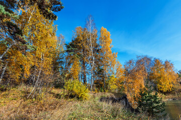 Obraz premium Autumn landscape. Siberia