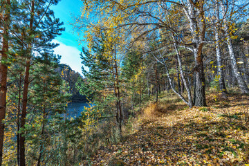 Autumn landscape. Siberia