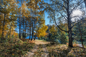 Autumn landscape. Siberia