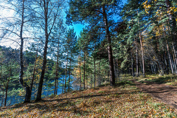 Obraz premium Autumn landscape. Siberia