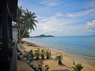 beach with palm trees
