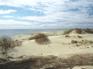 Sand dunes of the Curonian Spit 