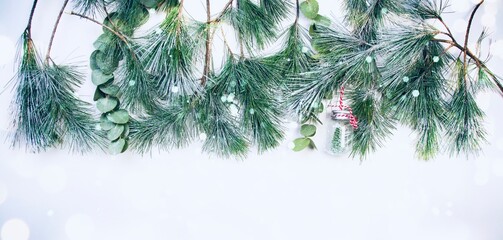 Weihnachten Winter Hintergrund mit grünen Tannenzweigen und Zapfen auf weißem Untergrund mit...