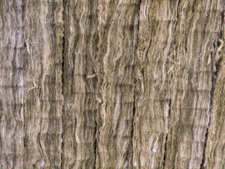 texture