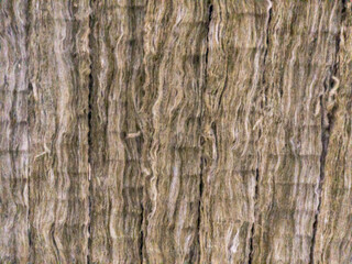 Obraz premium texture