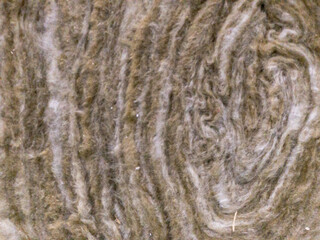 bark texture