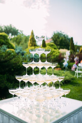 Pyramid of wine glasses with champagne is on table at wedding banquet in garden. © Stanislav