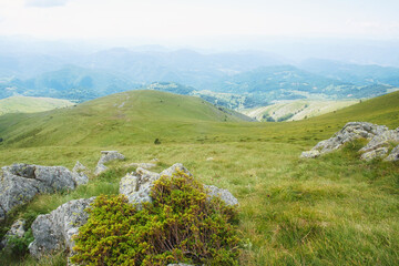 Naklejka premium Amazing nature view of National park Kopaonik - the most famous ski center of Serbia - on a sunny morning