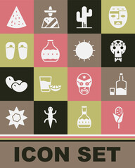 Set Corn, Tequila bottle and glass, Mexican skull, Cactus, Flip flops, Nachos and Sun icon. Vector