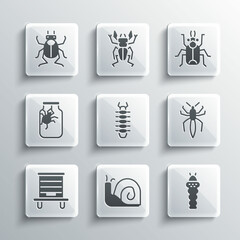 Set Snail, Larva insect, Spider, Centipede, Hive for bees, jar, Beetle bug and icon. Vector