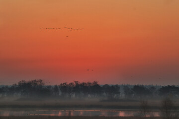 Sonnenaufgang im Moor