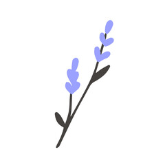 flower simple botanical illustrations, line artwork, minimal design elements. elegant and delicate plant doodles for branding, wedding invitation, graphic design. spring floral clip art , feminine art