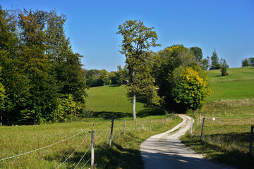 Feldweg in herbstlicher Landschaft auf der Schwäbischen Alb