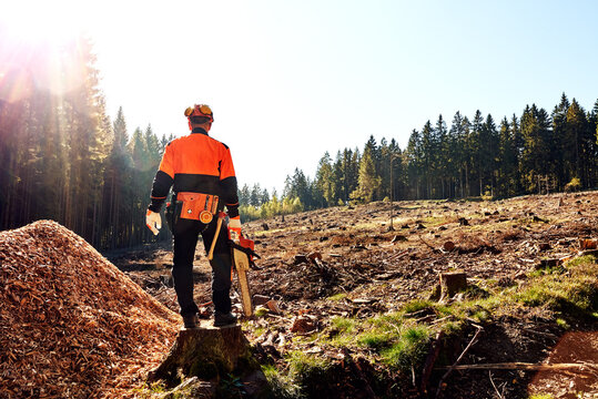 Professioneller Waldarbeiter, Holzf&auml;ller mit Arbeitsschutzkleidung und Kettens&auml;ge bei der Arbeit im Wald