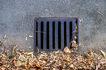 Rainwater gullie, old tree leaves, rubbish on the asphalt around. Autumn.