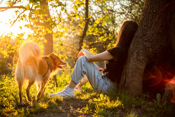 Spacer z psem podczas zachodu słońca - obrazy, fototapety, plakaty