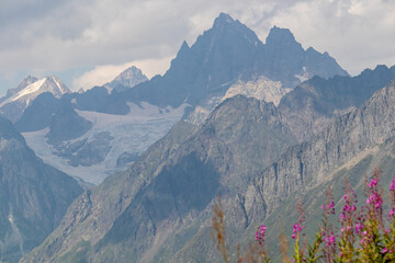 A bushes of Rosebay Willowherb blooming in high Caucasus mountains in Georgia. There are high, snowcapped peaks in the back. Thick clouds in the back. Purple flowers. Idyllic landscape. Calmness