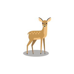 deer Cartoon