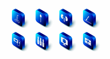 Set Sperm, Human kidneys, Medical surgery scalpel, Laptop with cardiogram, symbol of the Emergency, vial, ampoule, Ultrasound and scissors icon. Vector