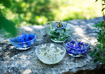 plant tinctures in water