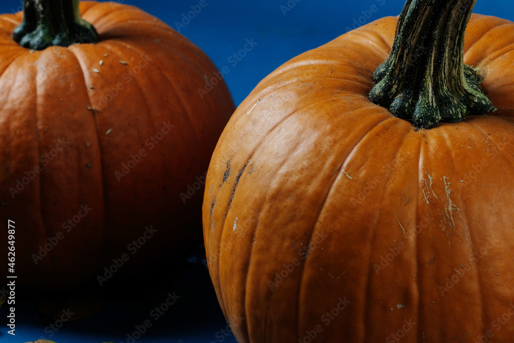 Poster Pumpkins close up for autumn season with blue background. - Posters
