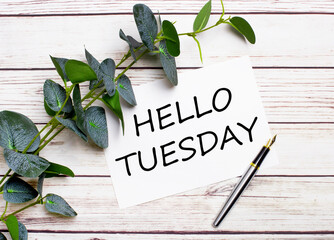 On a light wooden table, there is a eucalyptus branch, a fountain pen and a sheet of paper with the text HELLO TUESDAY