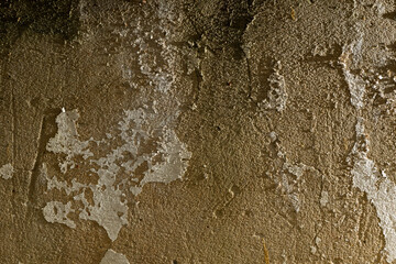The background of a textured wall, an old house made of concrete and fallen plaster. Plaster and concrete are a wonderful background. Grey and white pattern in an unusual setting.