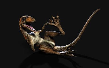 Fototapeta premium 3d Illustration pose of deinonychus antirrhopus the most iconic and representative dinosaurs on dark background with clipping path. dinosaurs concept.