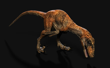 3d Illustration pose of deinonychus antirrhopus the most iconic and representative dinosaurs on dark background with clipping path. dinosaurs concept.