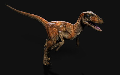 3d Illustration pose of deinonychus antirrhopus the most iconic and representative dinosaurs on dark background with clipping path. dinosaurs concept.