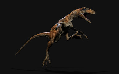 3d Illustration pose of deinonychus antirrhopus the most iconic and representative dinosaurs on dark background with clipping path. dinosaurs concept.