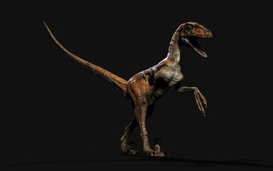 3d Illustration pose of deinonychus antirrhopus the most iconic and representative dinosaurs on dark background with clipping path. dinosaurs concept.