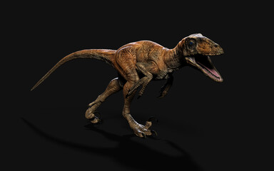 3d Illustration pose of deinonychus antirrhopus the most iconic and representative dinosaurs on dark background with clipping path. dinosaurs concept.